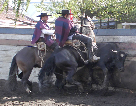 vista volcan